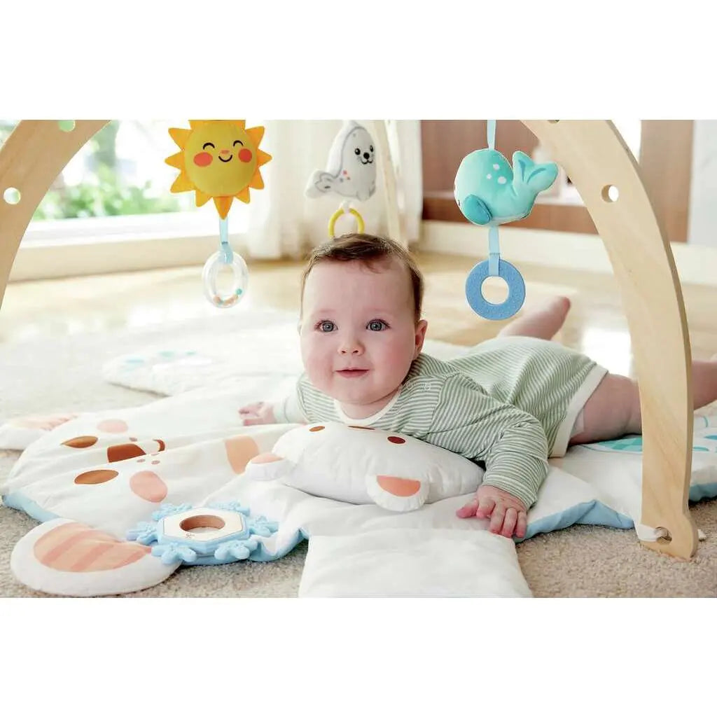 Hape Snuggle Bear Activity Gym Hape