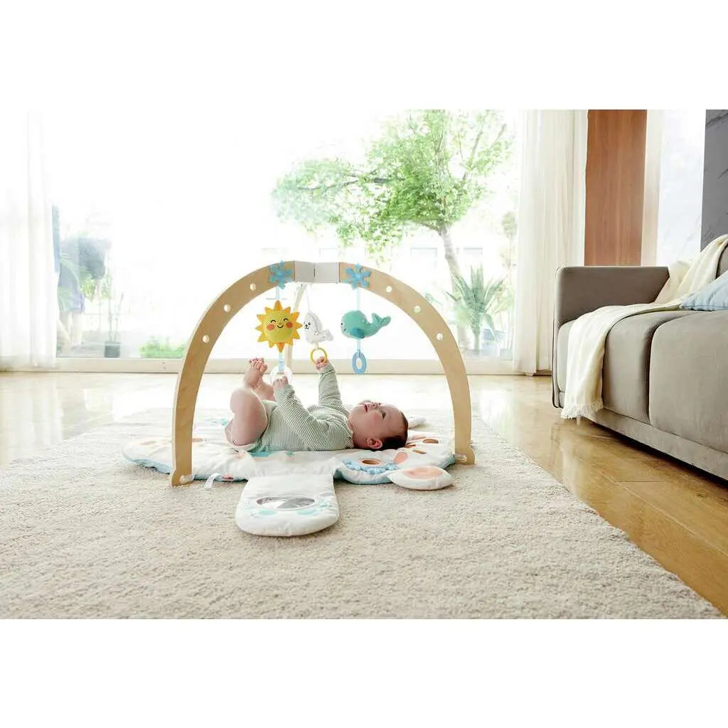 Hape Snuggle Bear Activity Gym Hape