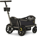 Veer Cruiser City - 2 Seater Veer