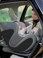 Babyark Convertible Car Seat (Smart) - Charcoal Grey/Glacier Ice babyark