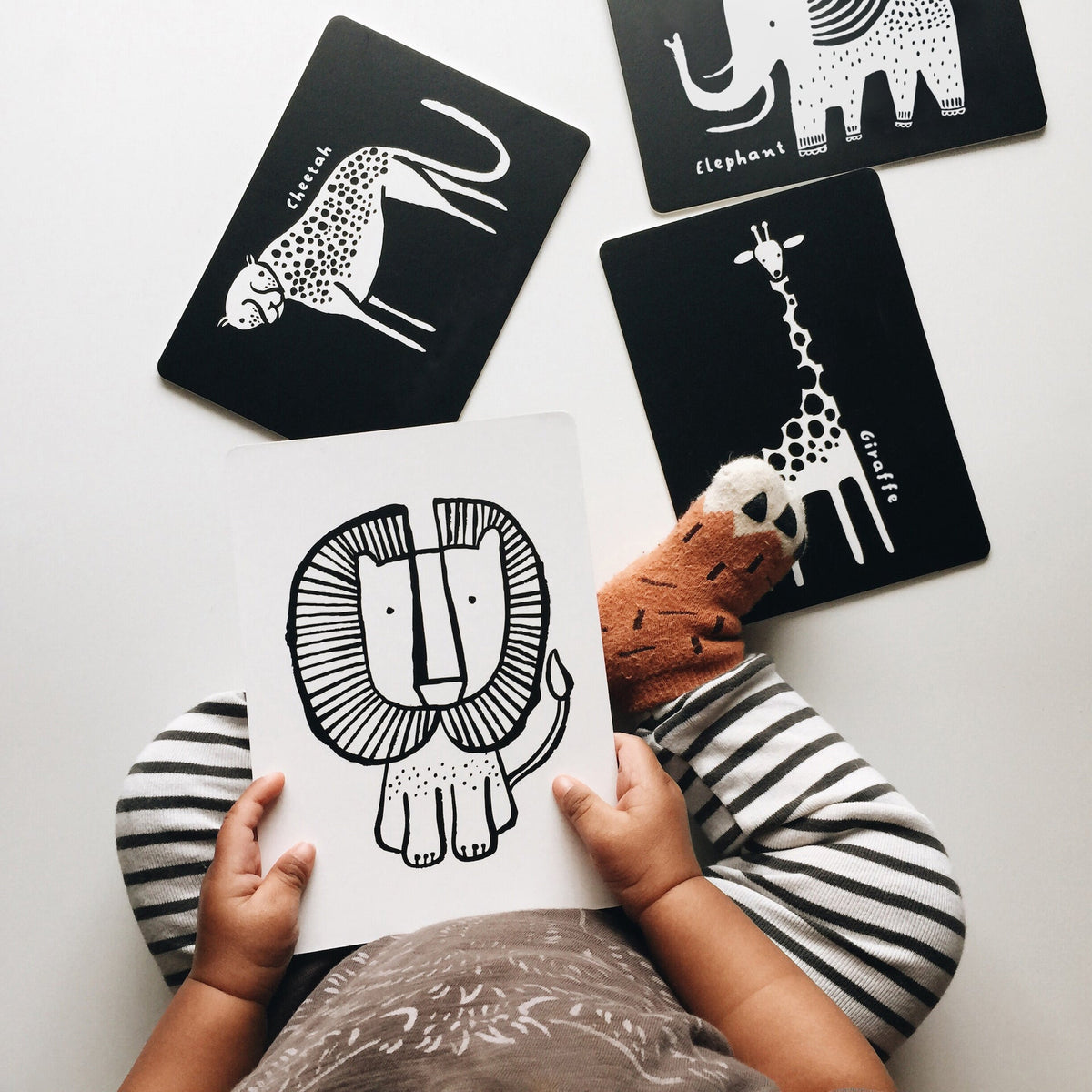 Wee Gallery Newborn Baby Gift Set - Safari Wee Gallery