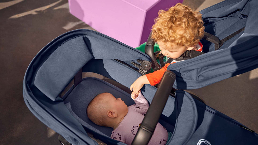 Bugaboo bassinet weight limit best sale